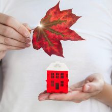 What can we expect from the Fall Real Estate Market in Ottawa?
