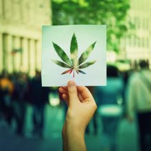 What You Need to Know About Cannabis Legalization in the Housing Market